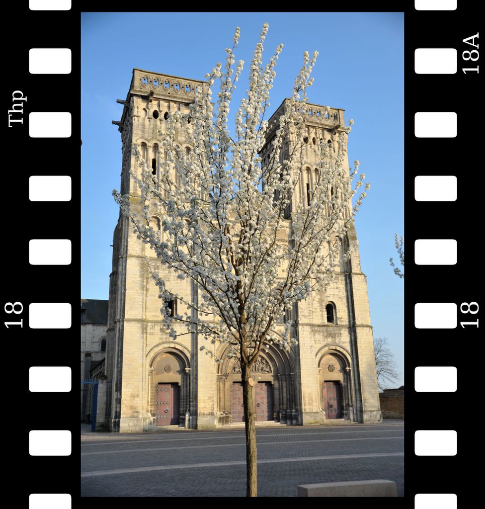 abbey.jpg (large)