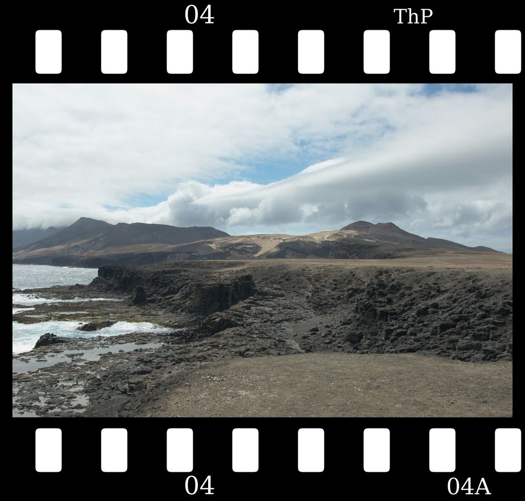 7.jpg (large)