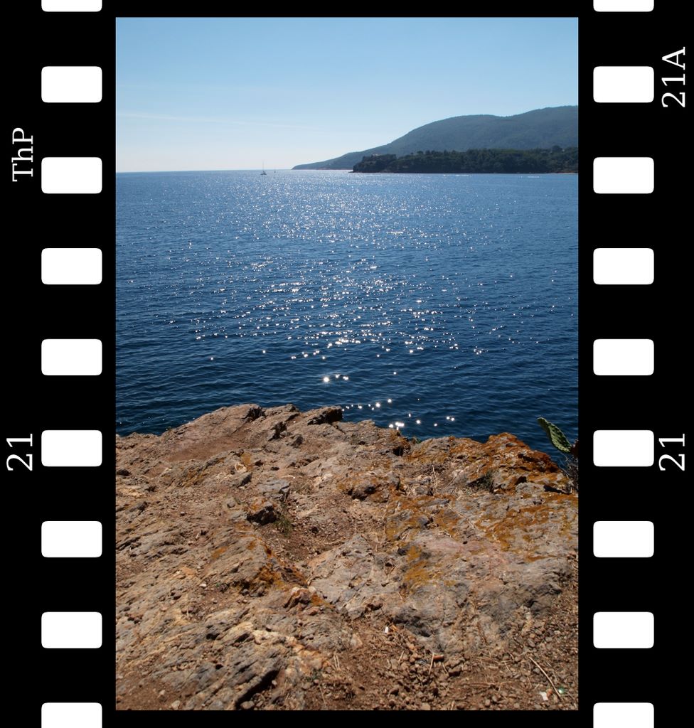 elba1.jpg (large)
