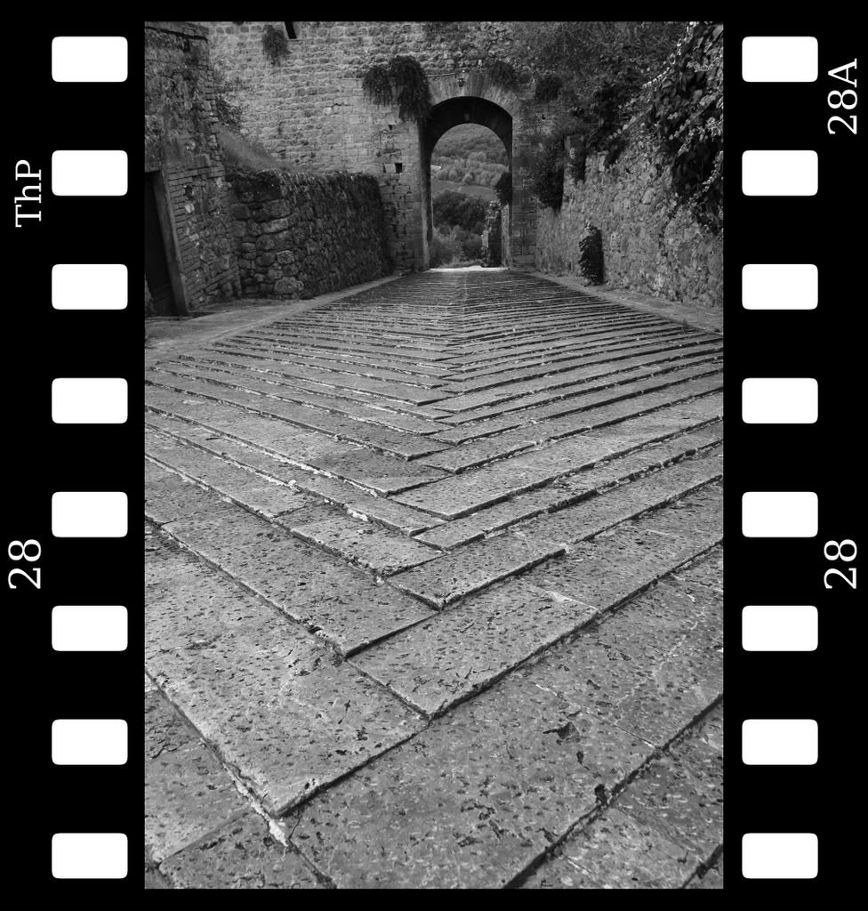 monteriggioni2.jpg (large)