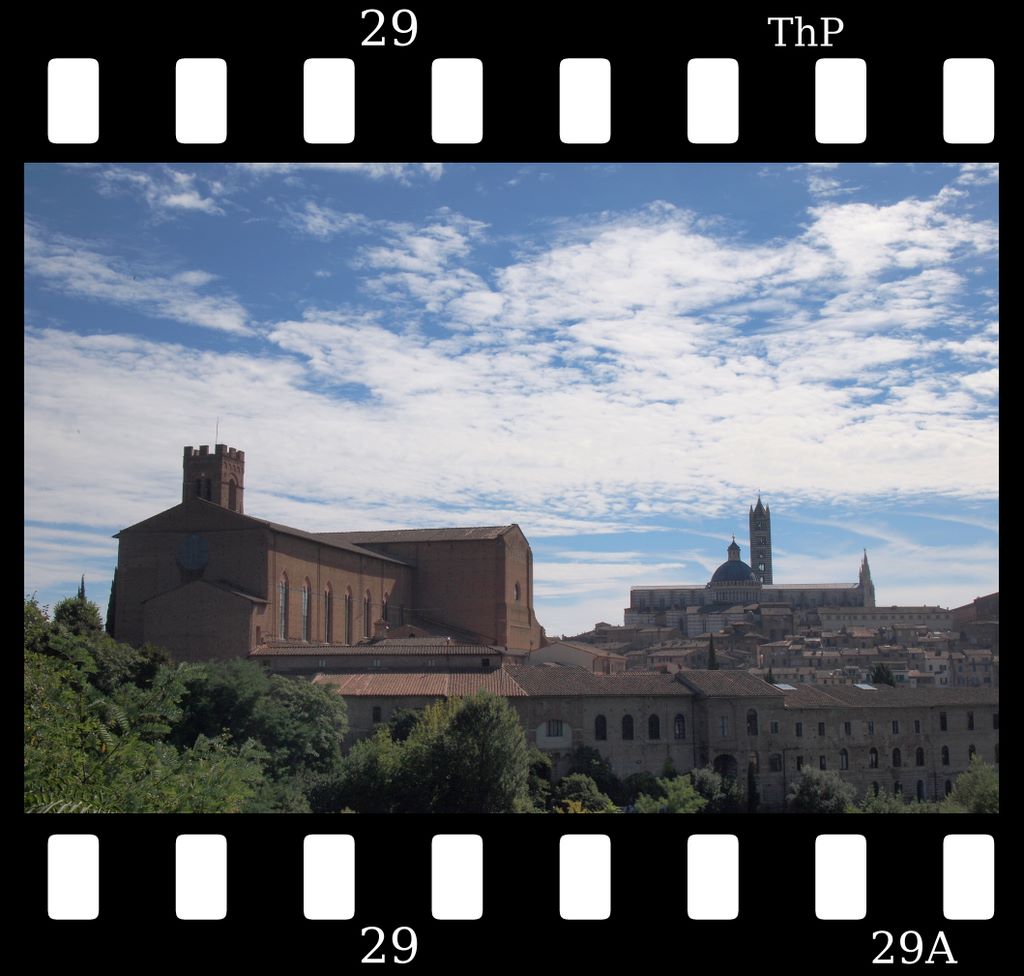 siena1.jpg (large)