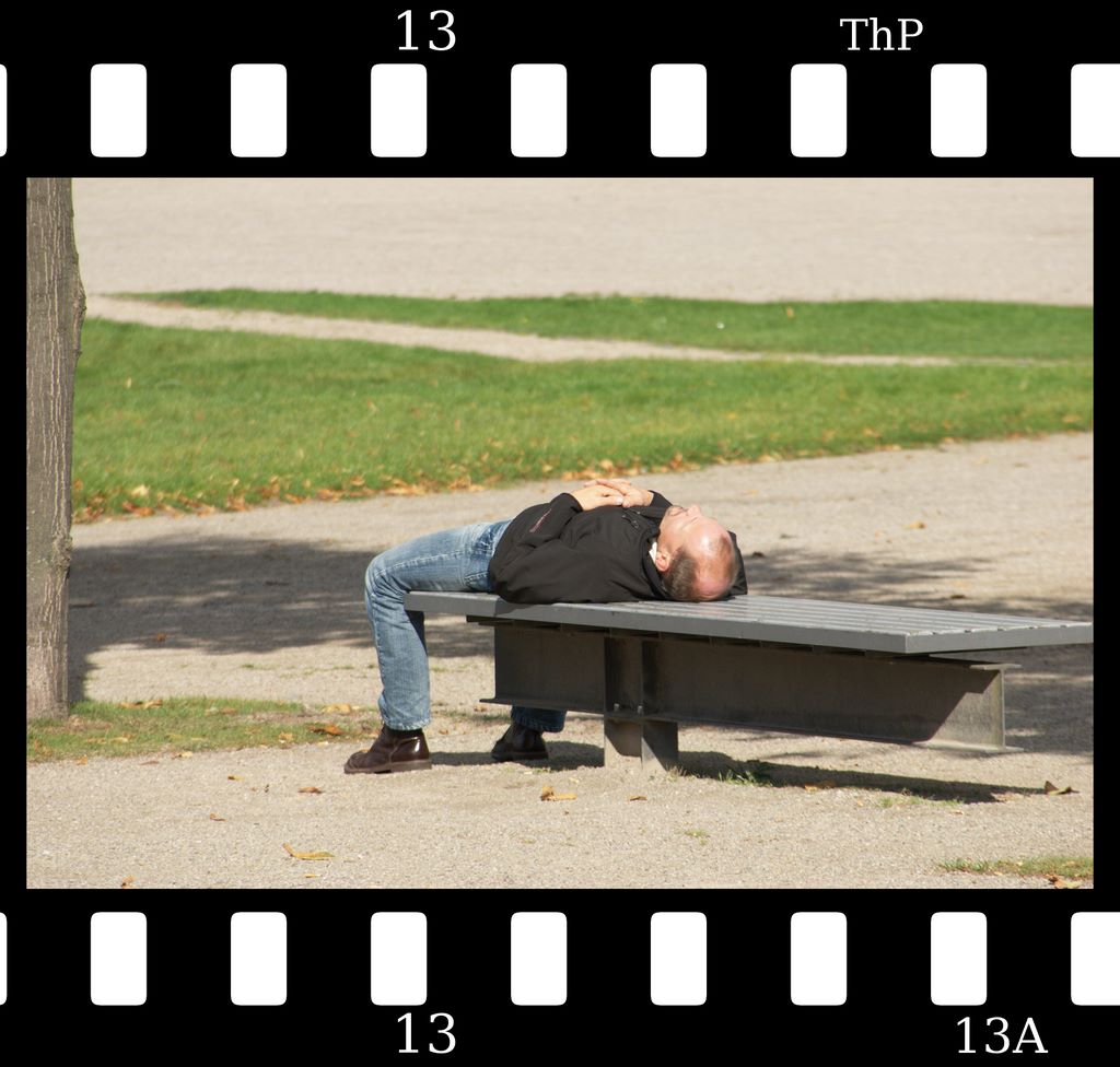 schlaefer.jpg (large)